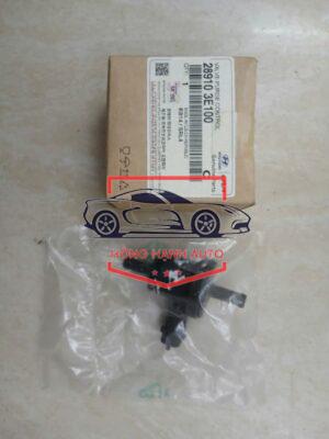 VAN HƠI XĂNG THỪA KIA OPTIMA 2010 | 289103E100