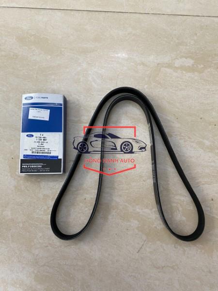 DÂY CUROA TỔNG FORD FOCUS 2012