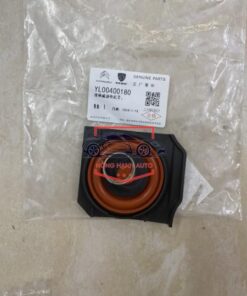 NẮP THÔNG HƠI NẮP DÀN CÒ PEUGEOT 3008 | 024811
