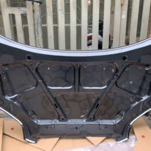 CAPO XE DAEWOO GENTRA 2005-2009 - 96649257