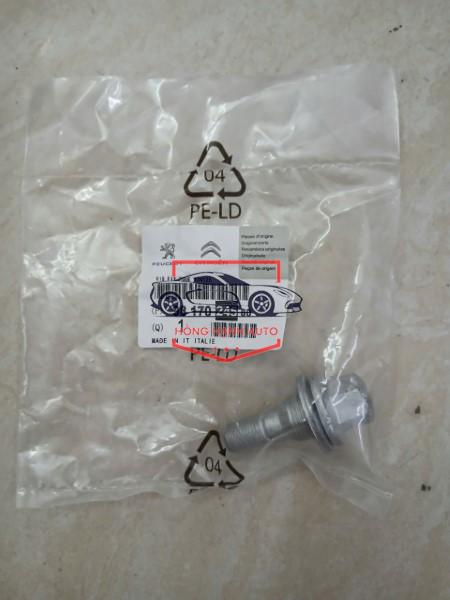 BU LÔNG TẮC KÊ PEUGEOT 206 | 9817024580