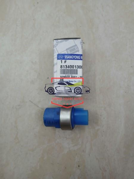 SÂU CÔNG TƠ MÉT SSANGYONG MUSSO 2006 | 8134001300