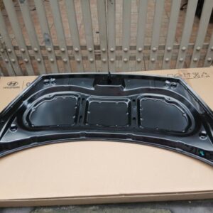 NẮP CAPO HYUNDAI I10 1.0 2015 | 66400B4000