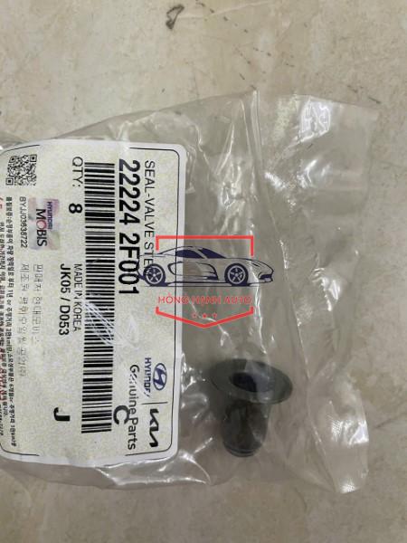 PHỚT GHÍT KIA SPORTAGE 2011 | 222242F001