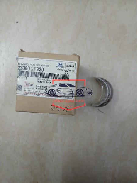 BẠC BIÊN HYUNDAI SANTAFE 2.2 2009-2013 | 230602F920